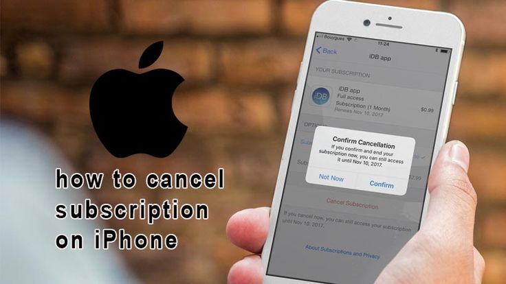 How to Cancel Subscription on iPhone Easily and Quickly in ...