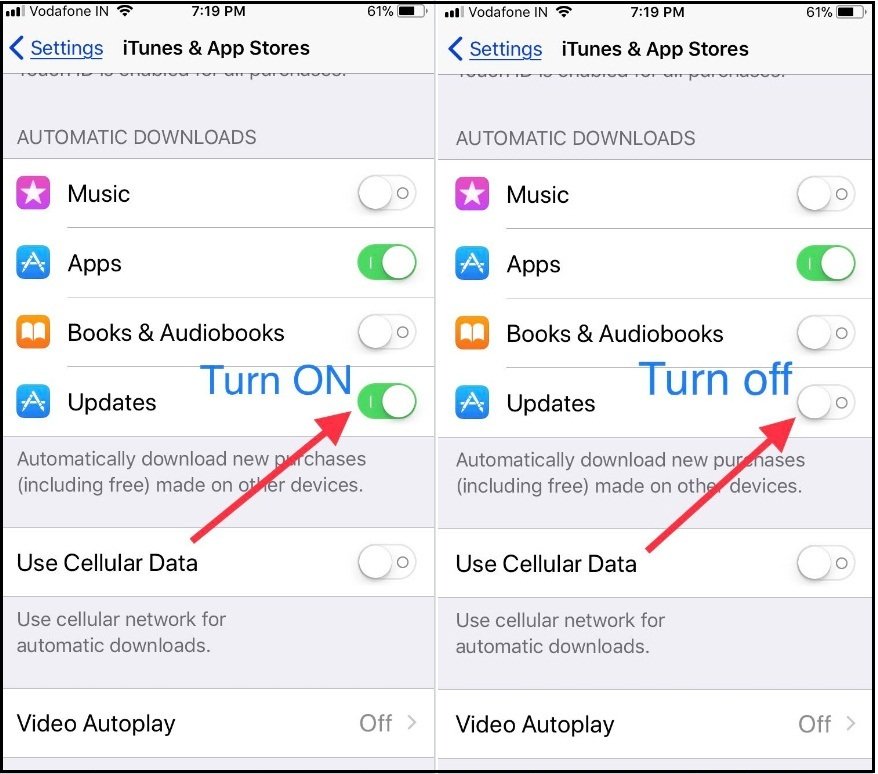 iOS 11/12 How to Disable/ Enable Automatic Update Apps on ...