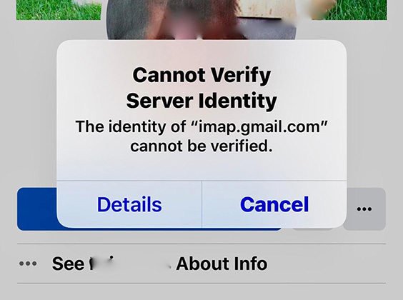 Proven Solutions to Fix Cannot Verify Server Identity ...