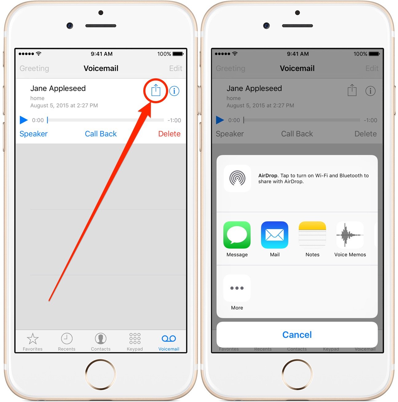 How To Forward A Voicemail On iPhone or Save VoiceMail on ...