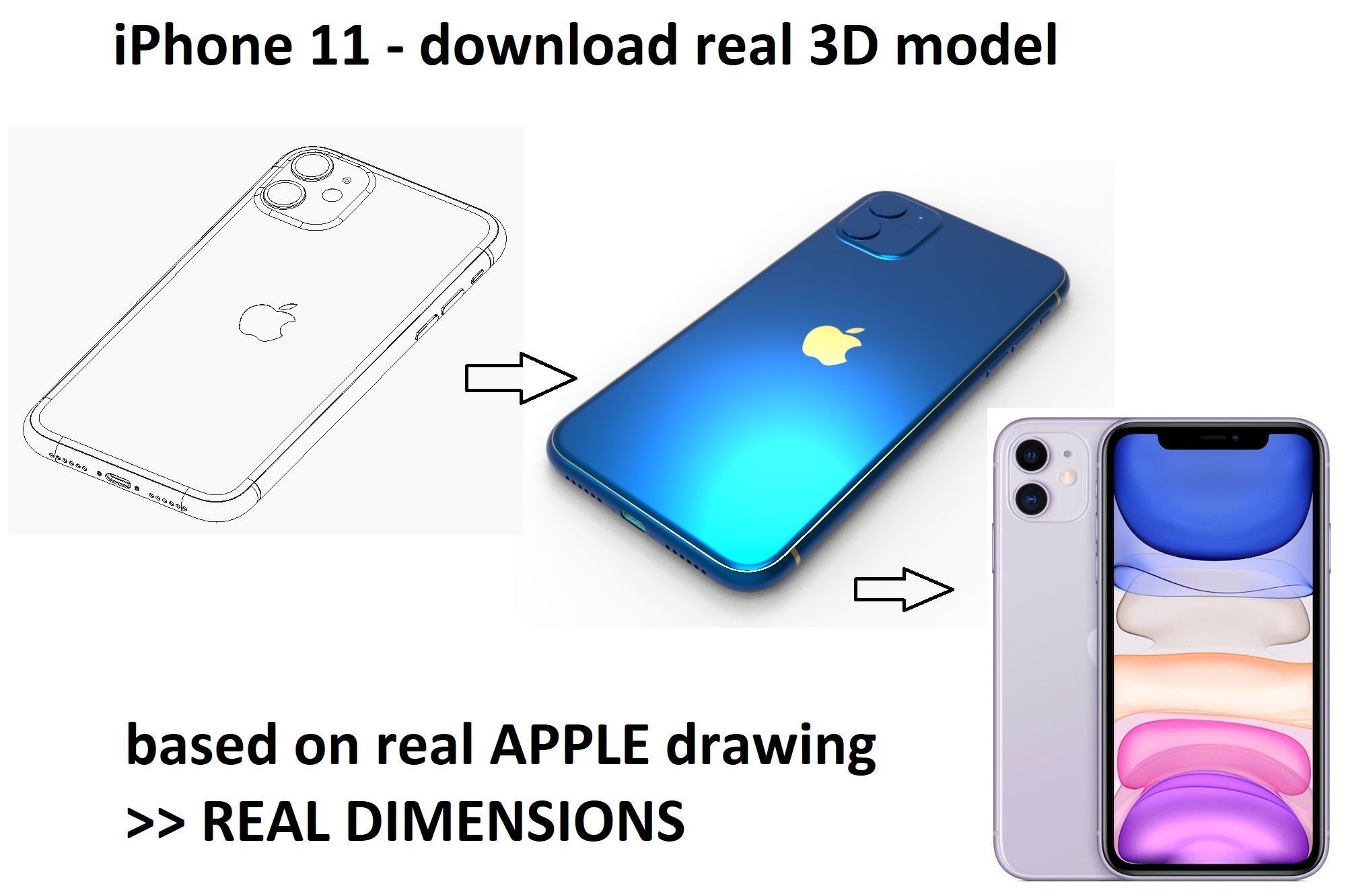 3D model iPhone 11
