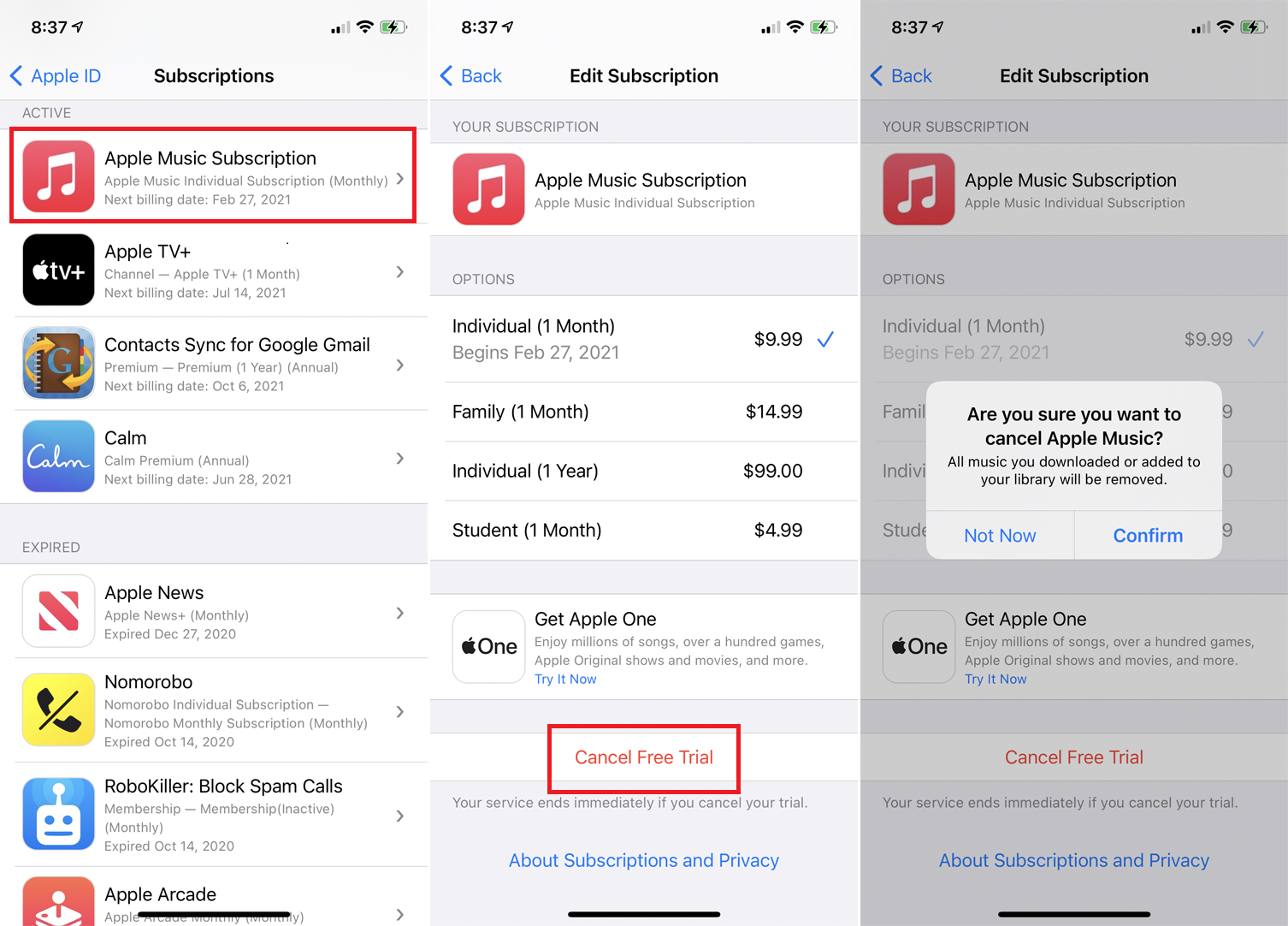 How To Stop Apple Music Subscription iPhone