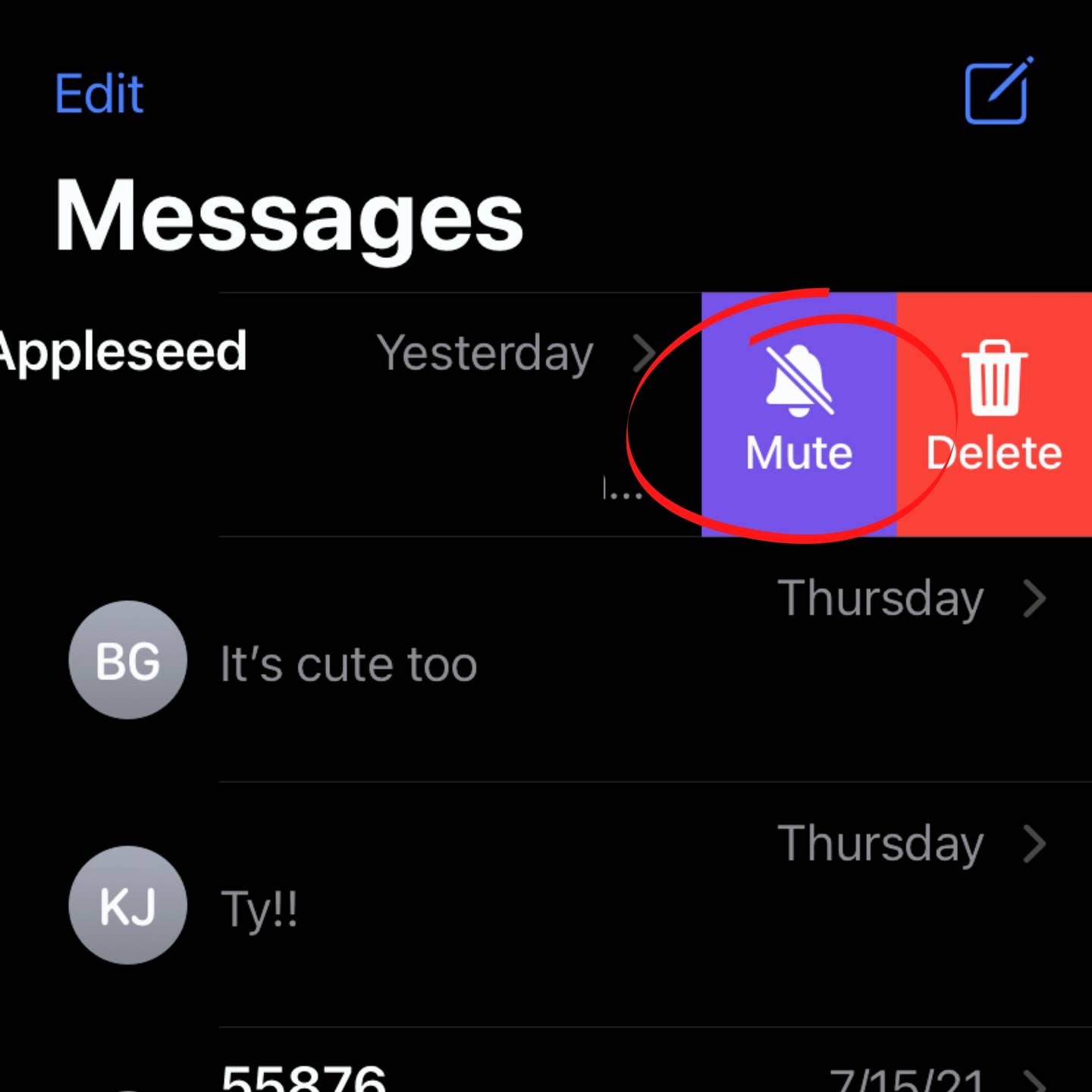 How to Mute a Message Thread on an iPhone