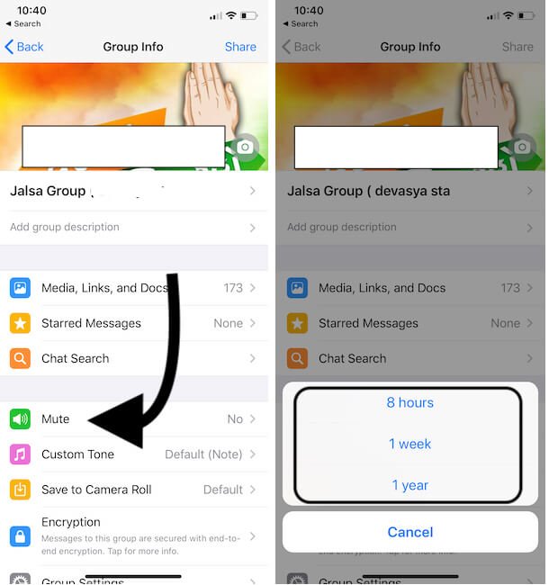 Unmute/Mute WhatsApp Group Notifications On iPhone Permanently