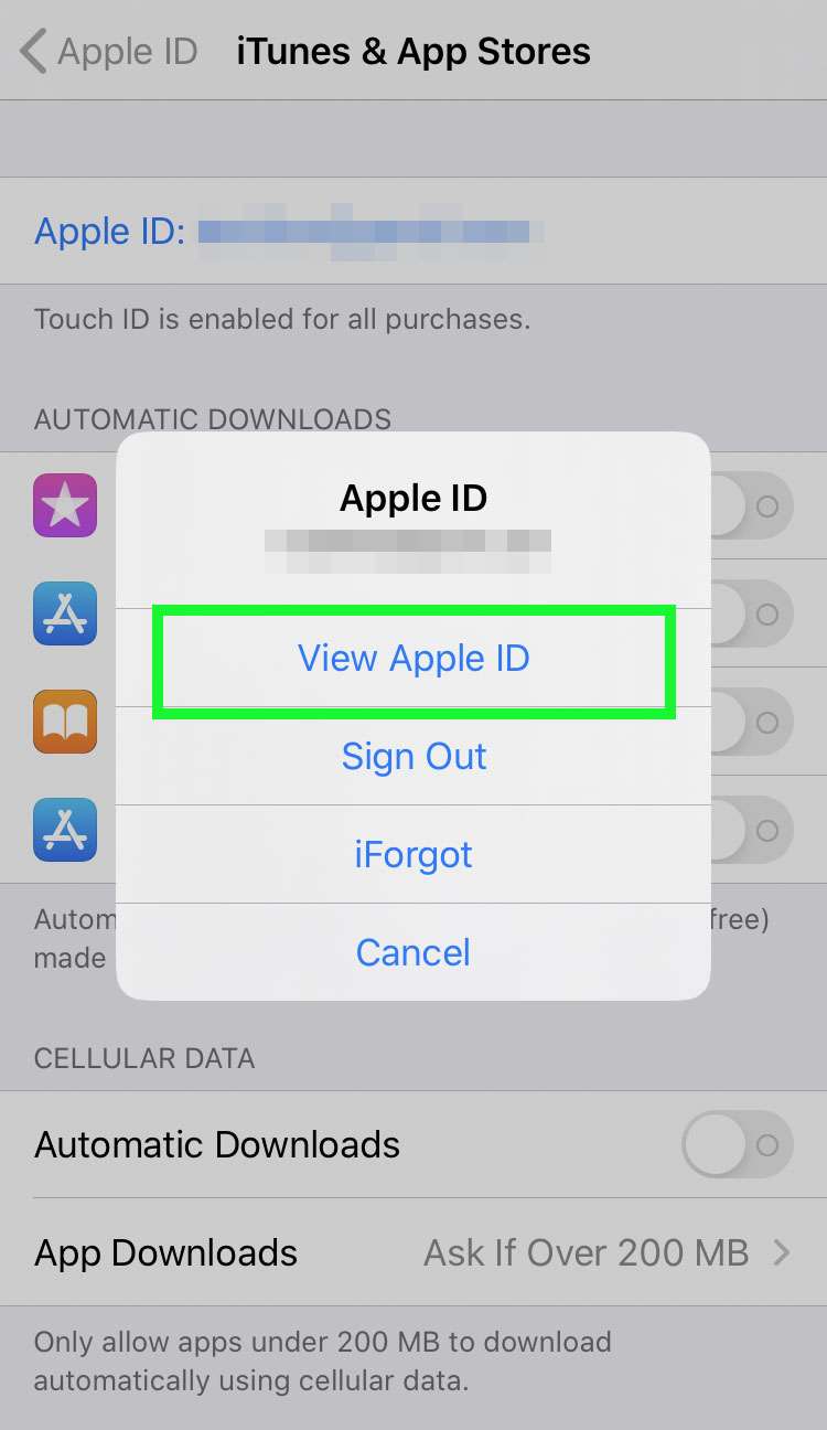 How to see recent Apple ID purchases on iPhone