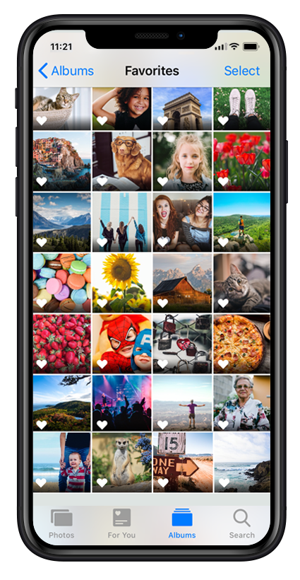 Organize photos on your phone with these tips for iPhone and Android ...