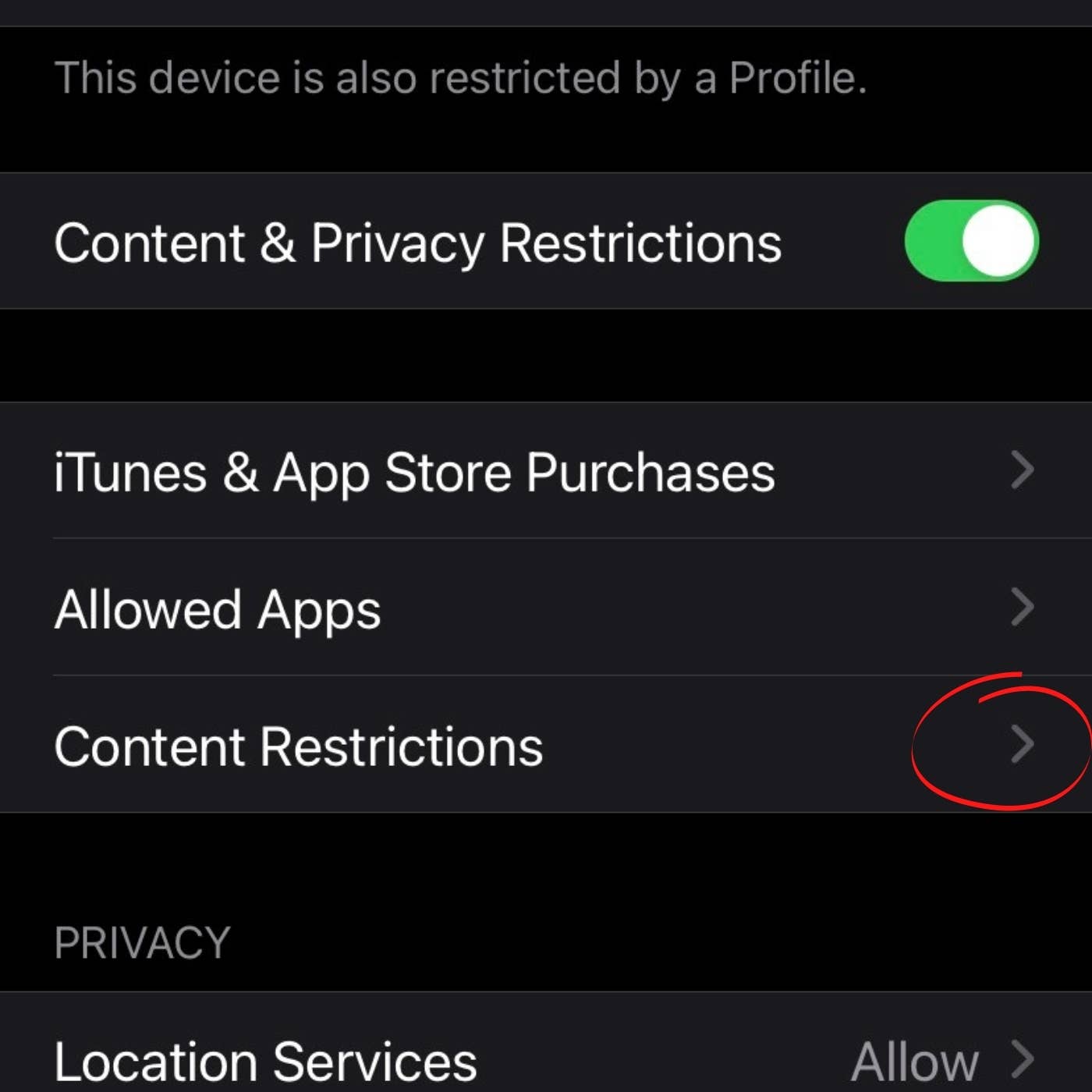 How to Block a Website with Screen Time on Your iPhone