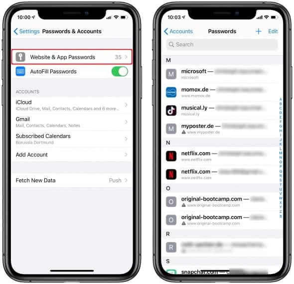 How To See Saved Passwords On iPhone