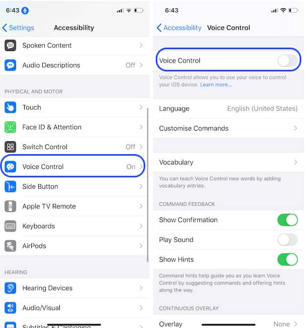 How To Turn Off Voice Control On iPhone 13